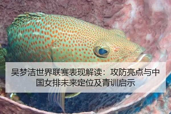 吴梦洁世界联赛表现解读：攻防亮点与中国女排未来定位及青训启示