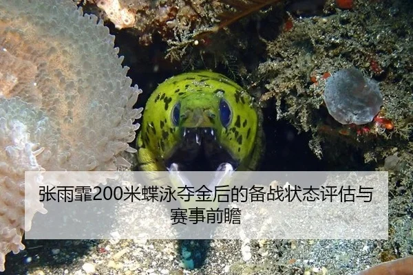 张雨霏200米蝶泳夺金后的备战状态评估与赛事前瞻